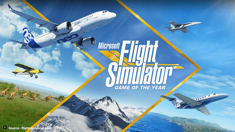 Flight Simulator1