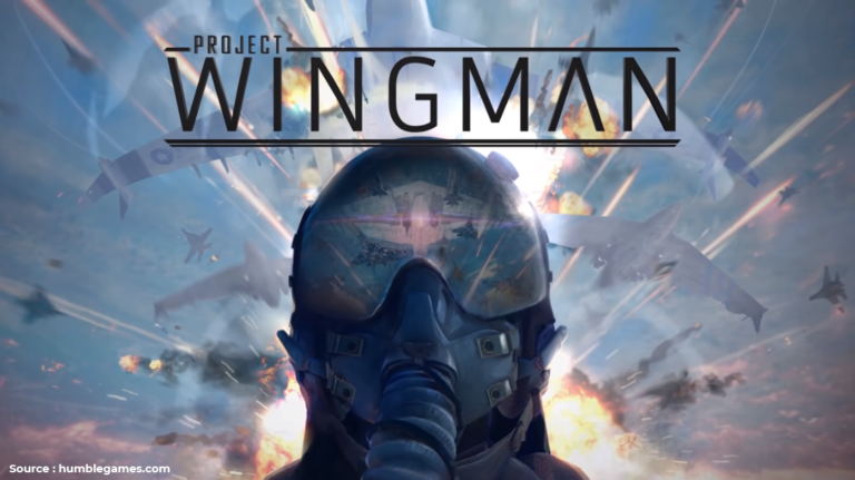 Project Wingman1